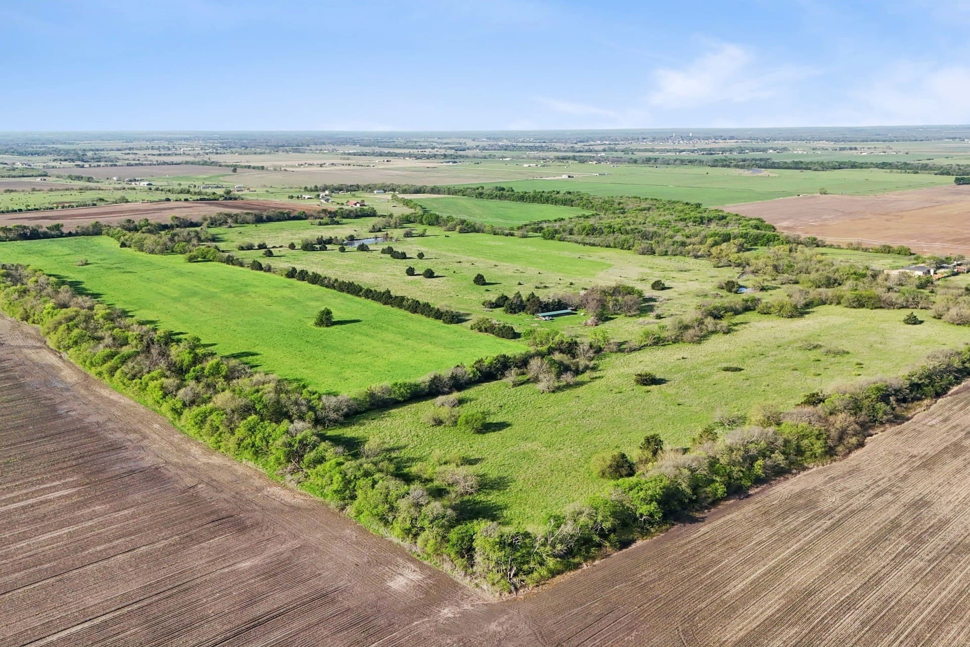 100 acres in Grayson County - photo 6