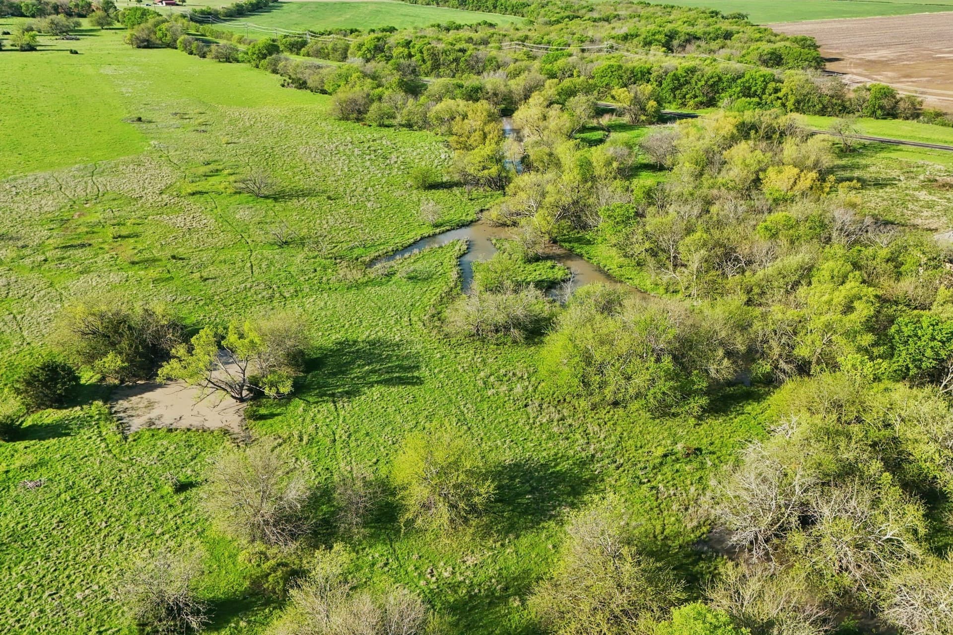 100 acres in Grayson County - photo 9