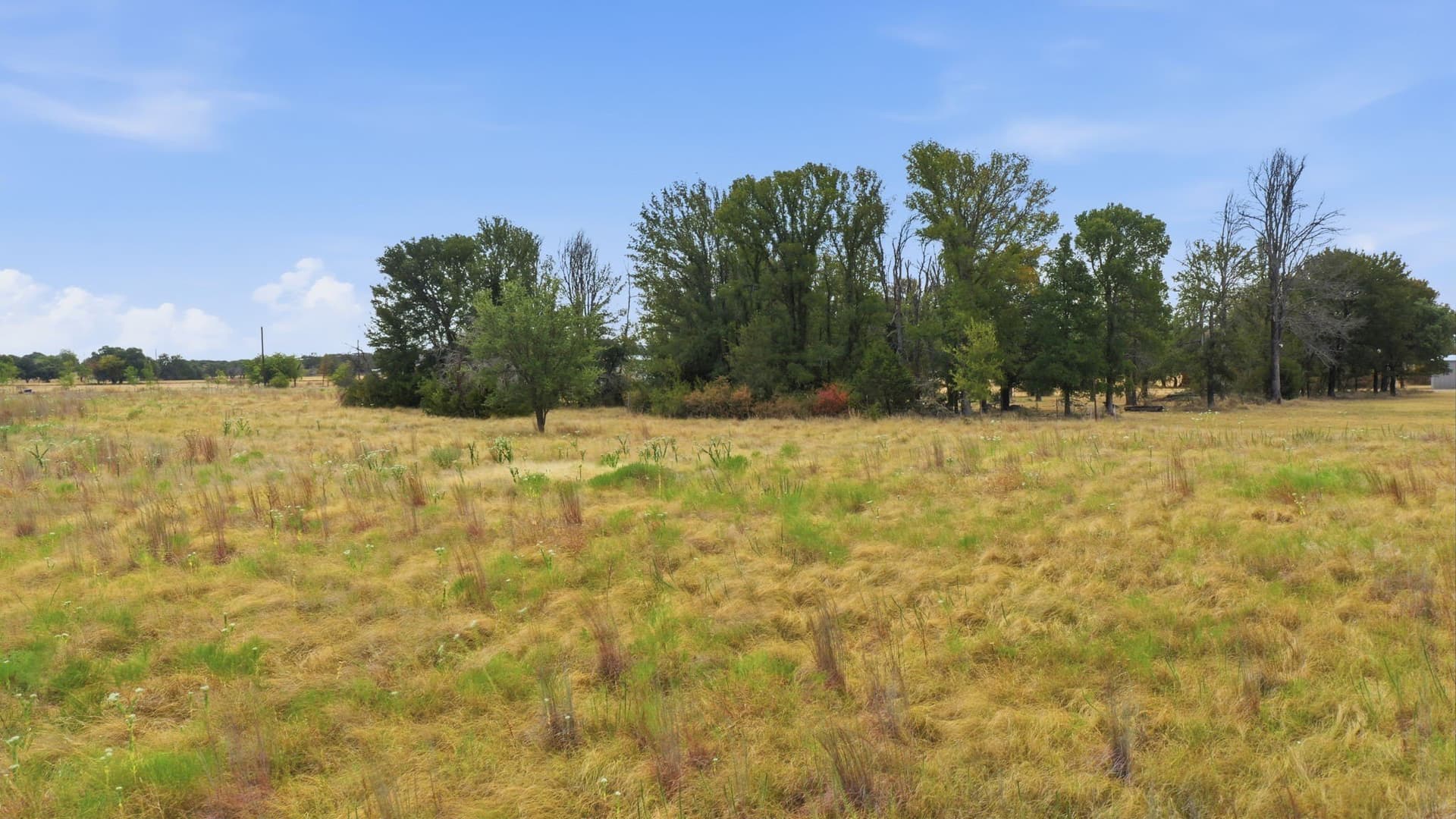 1.76 acres in Parker County - photo 11