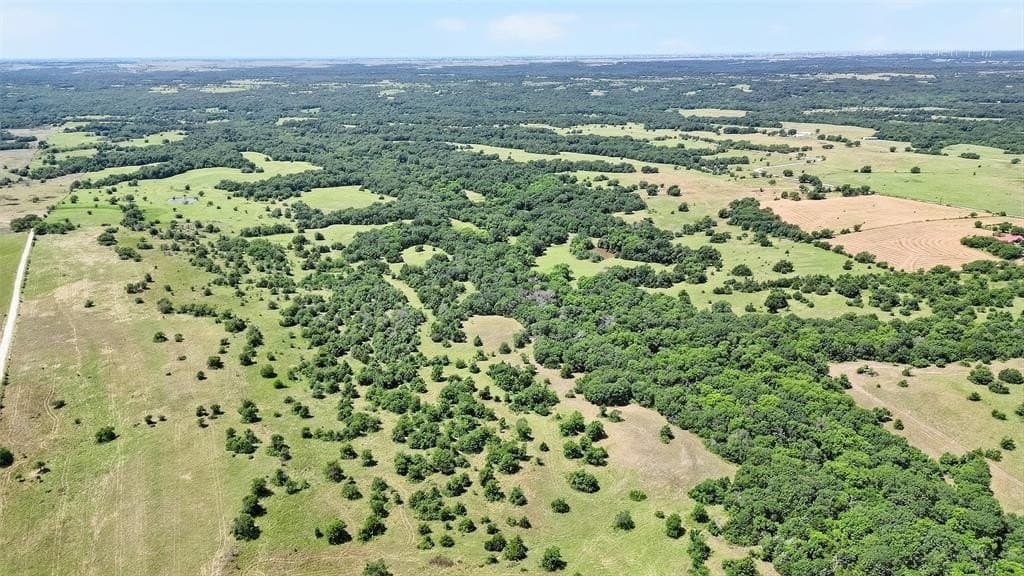 263 acres in Cooke County gallery image 4