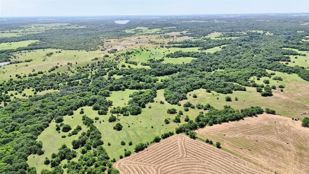 263 acres in Cooke County gallery image 2