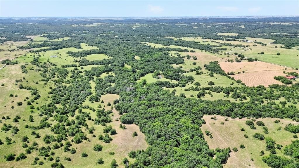263 acres in Cooke County gallery image 3