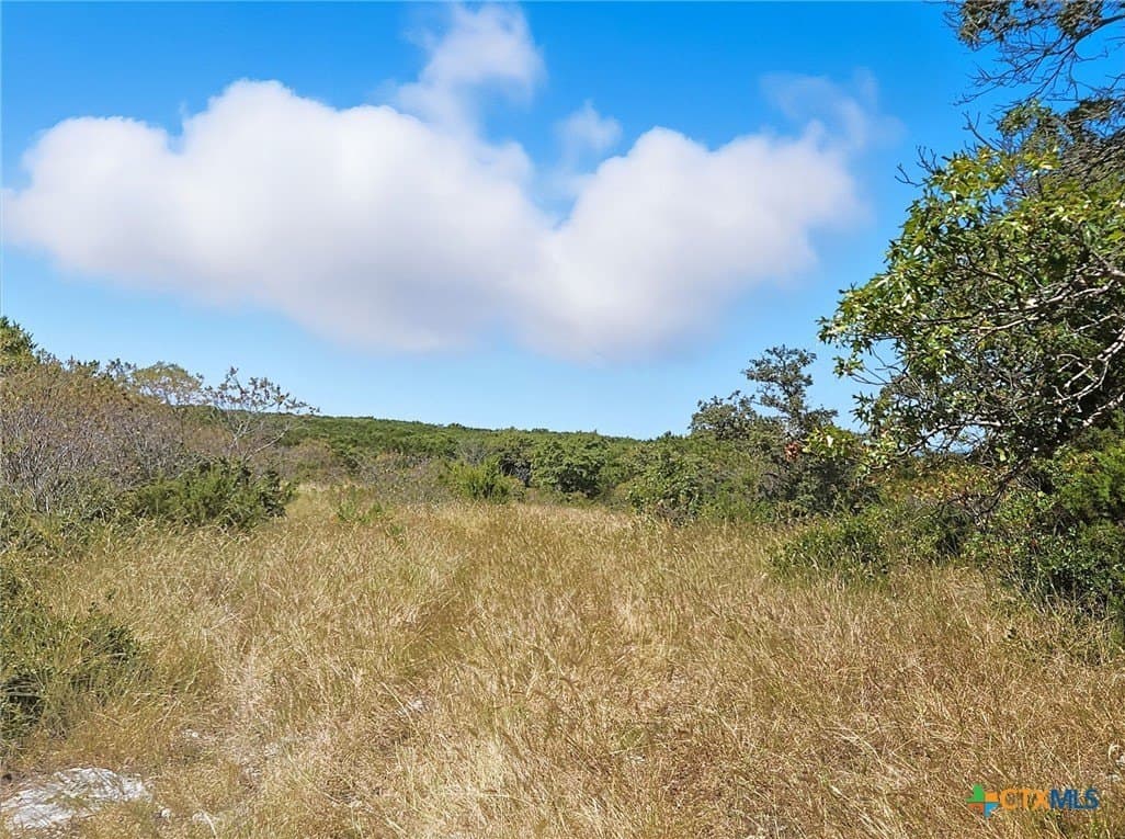 482.53 acres in Coryell County - photo 34