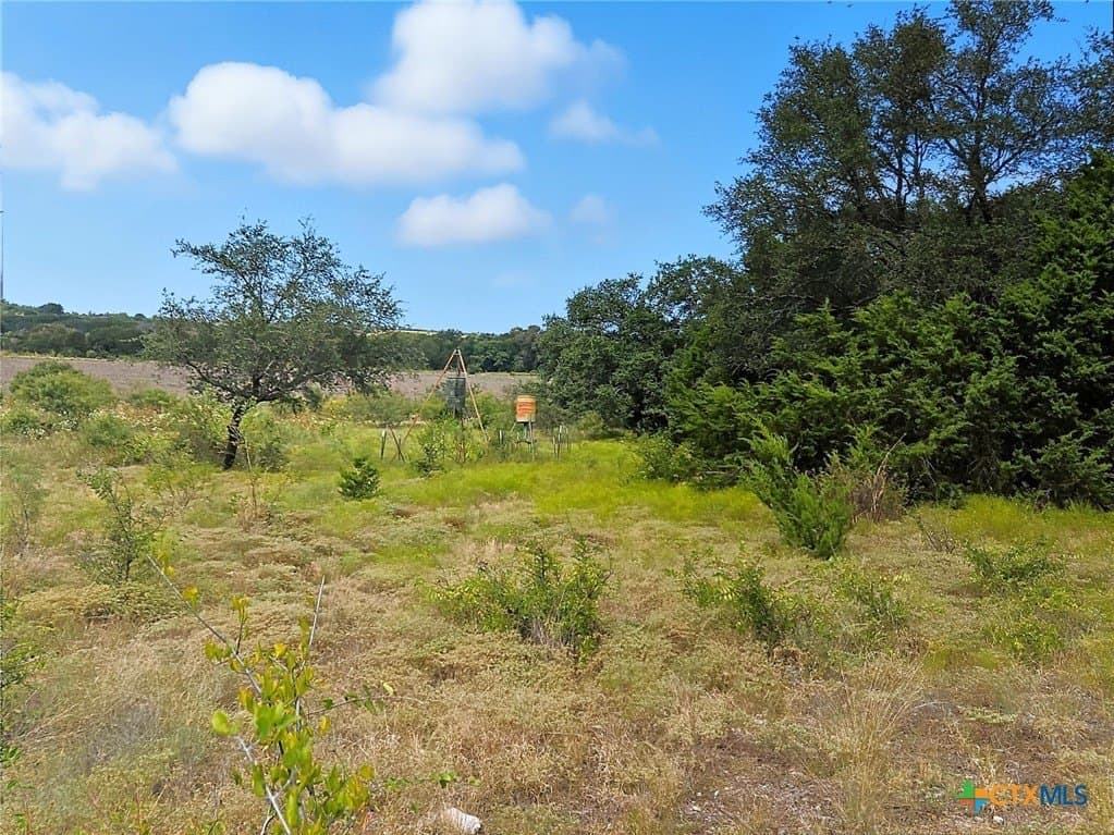 482.53 acres in Coryell County - photo 17