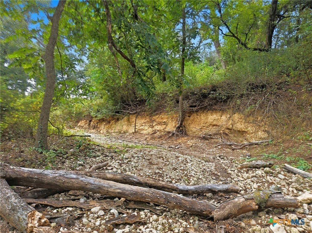 482.53 acres in Coryell County - photo 11