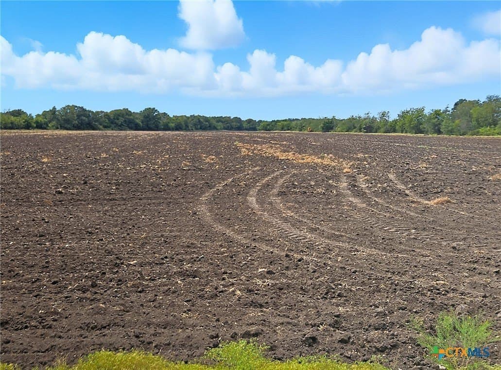 482.53 acres in Coryell County - photo 2