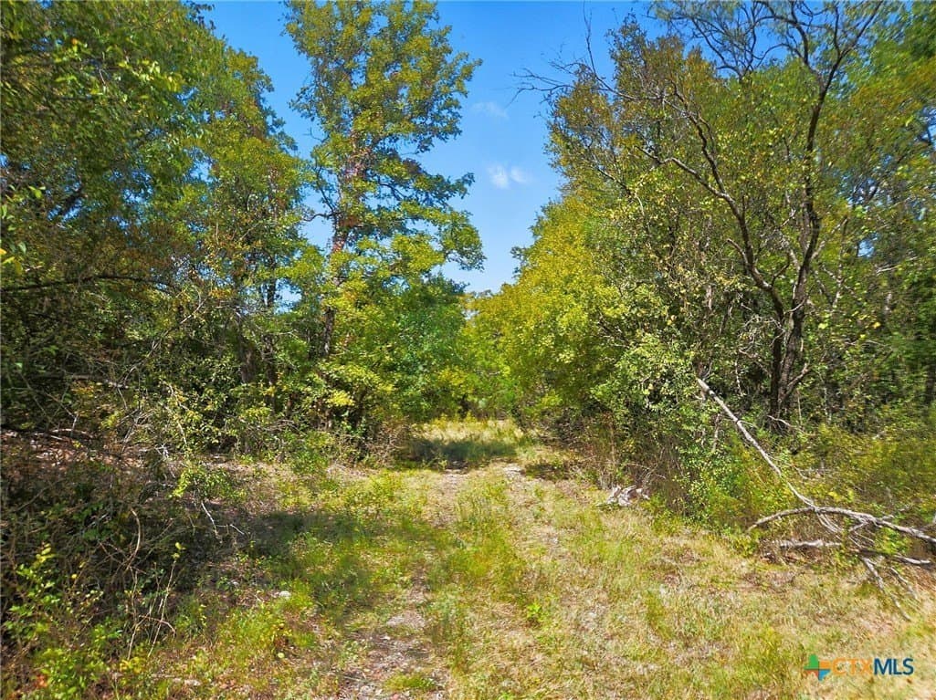 482.53 acres in Coryell County - photo 36