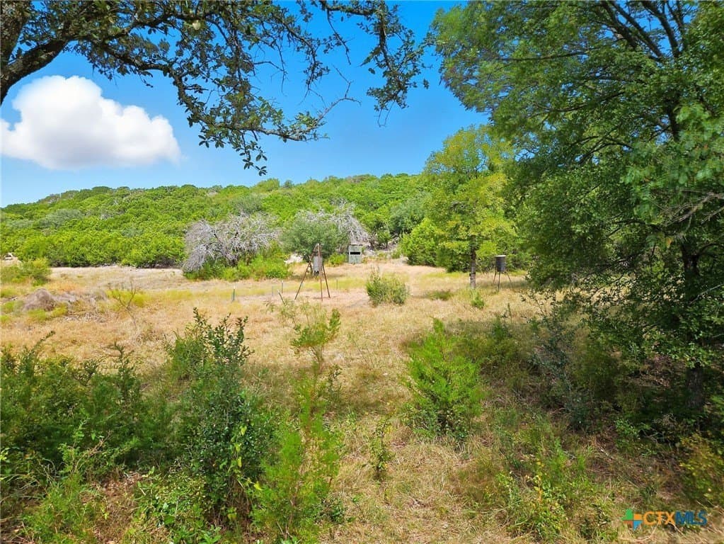 482.53 acres in Coryell County - photo 22