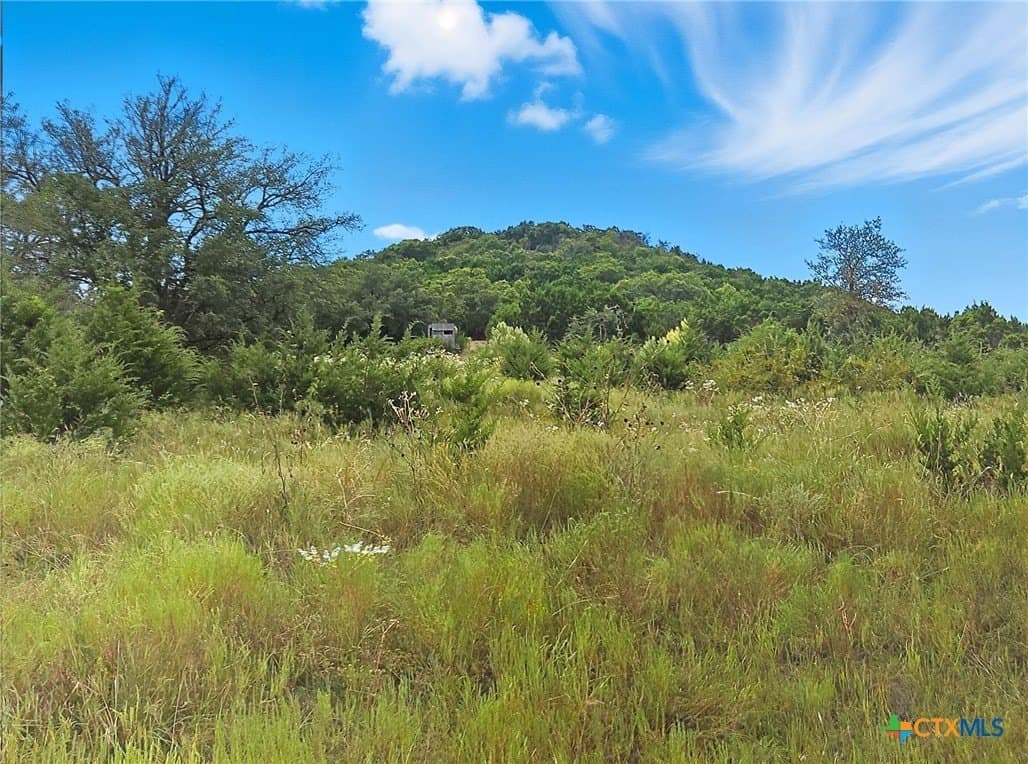 482.53 acres in Coryell County - photo 14