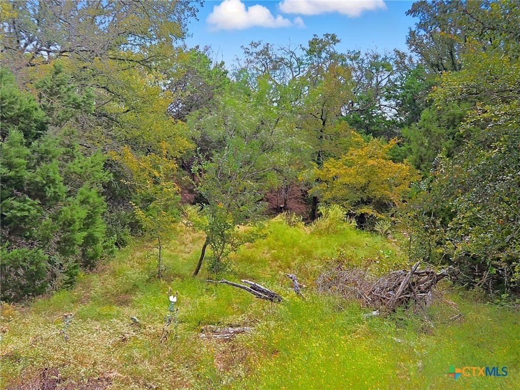 482.53 acres in Coryell County - photo 7