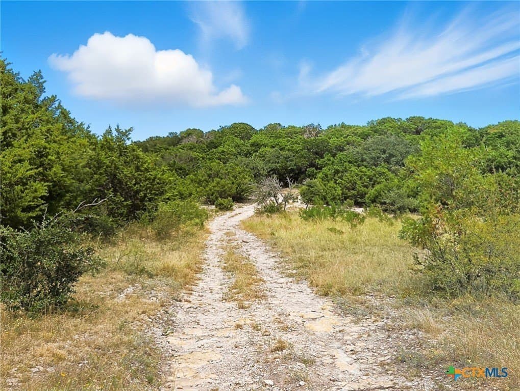 482.53 acres in Coryell County - photo 30