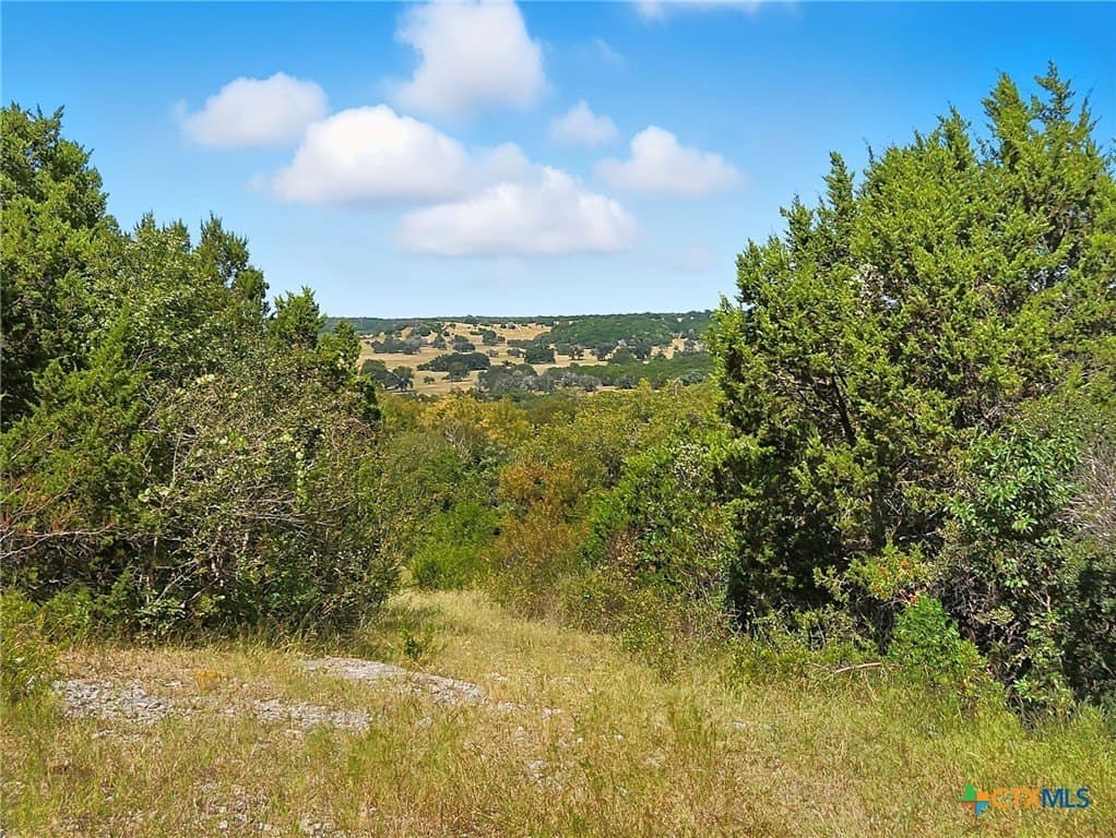 482.53 acres in Coryell County - photo 35