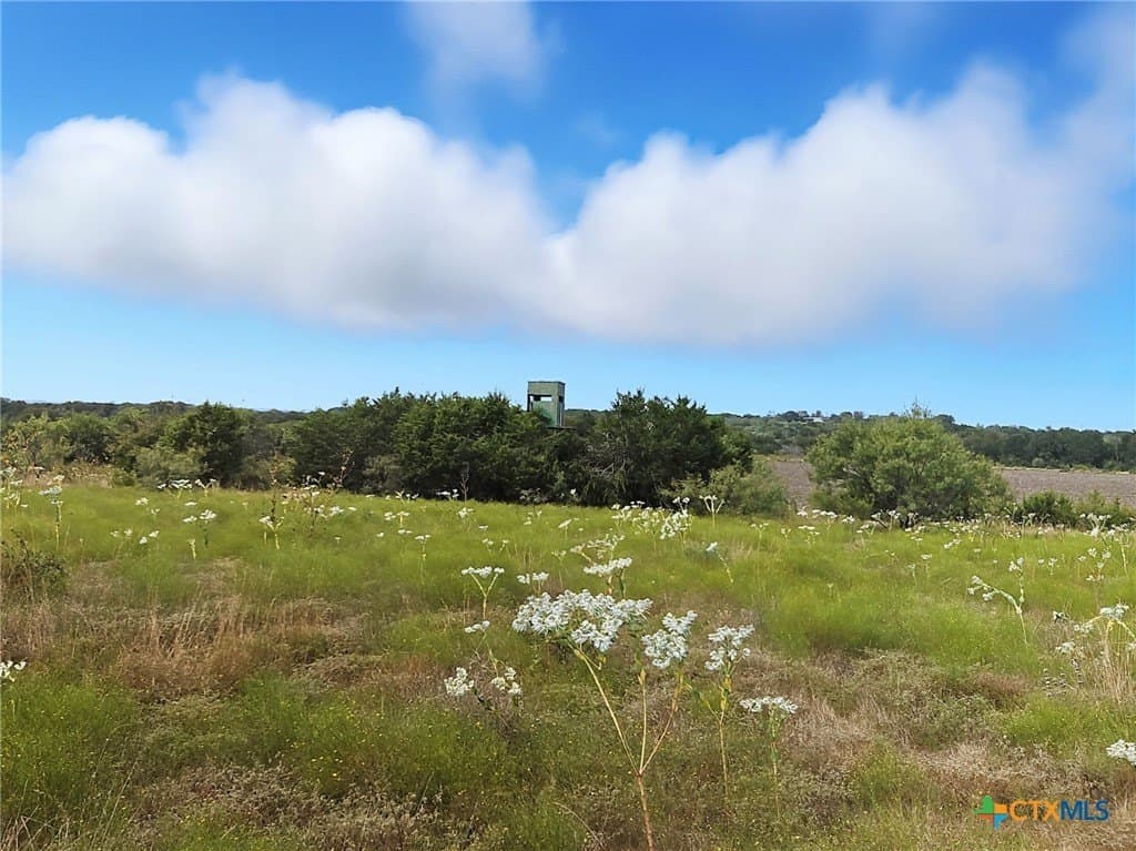 482.53 acres in Coryell County - photo 20