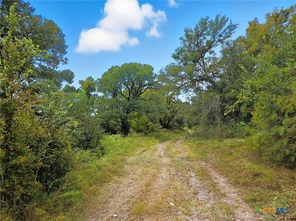 482.53 acres in Coryell County - photo 9