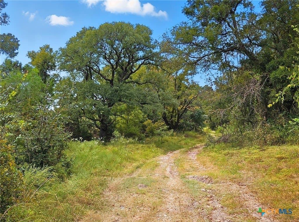482.53 acres in Coryell County - photo 8