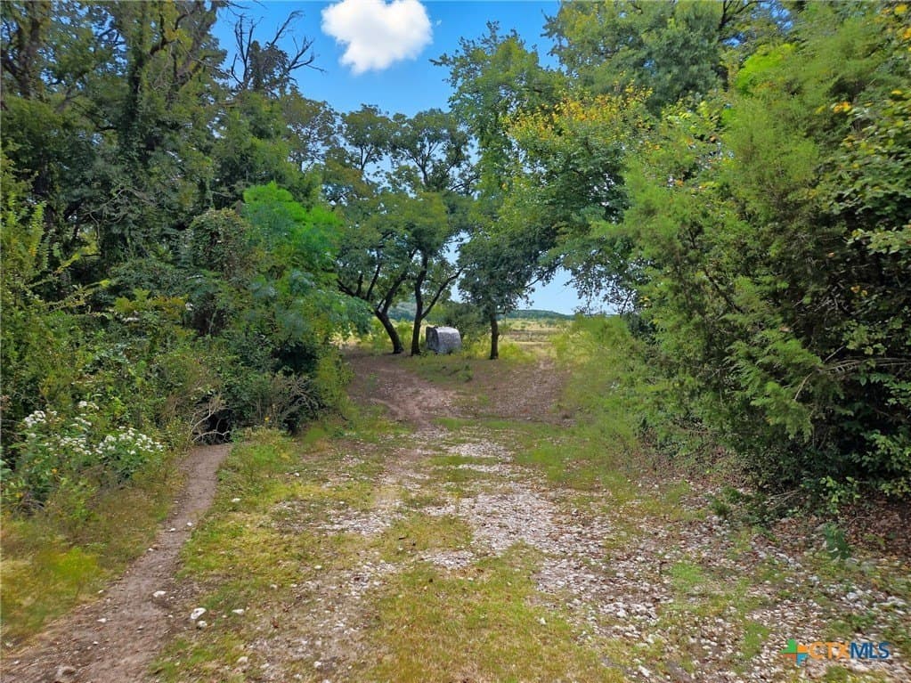 482.53 acres in Coryell County - photo 10