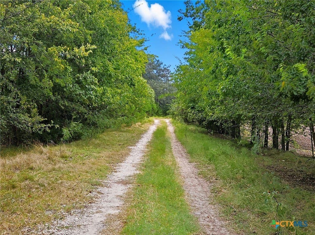 482.53 acres in Coryell County - photo 6