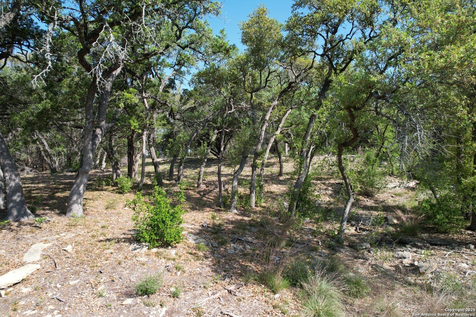 1.07 acres in Comal County - photo 15