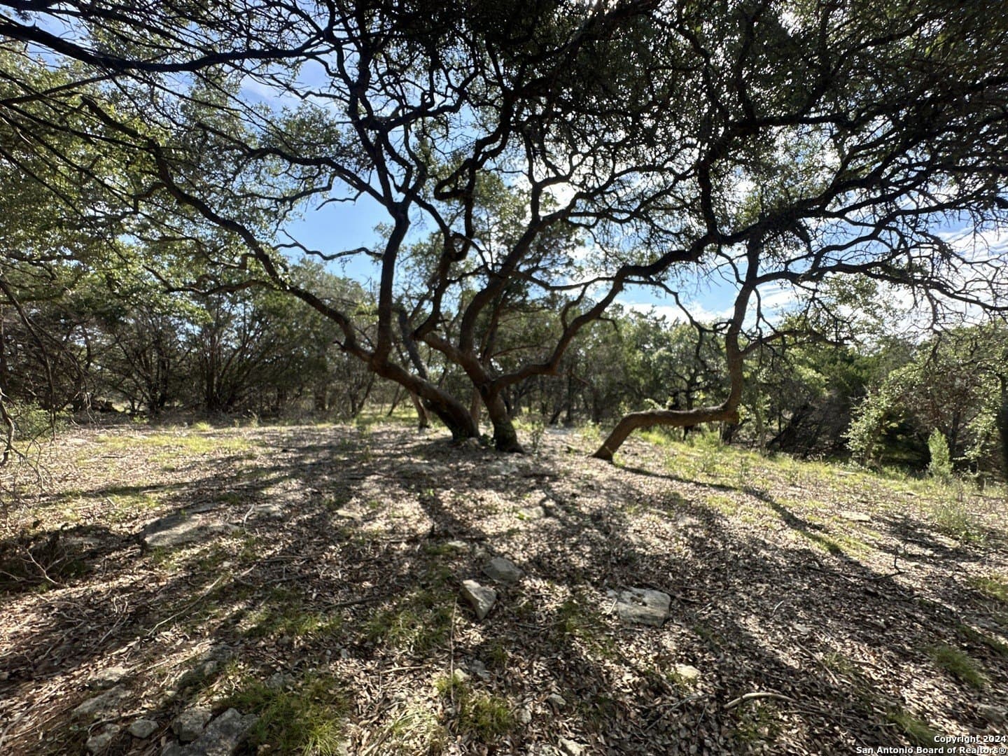 1.07 acres in Comal County - photo 6