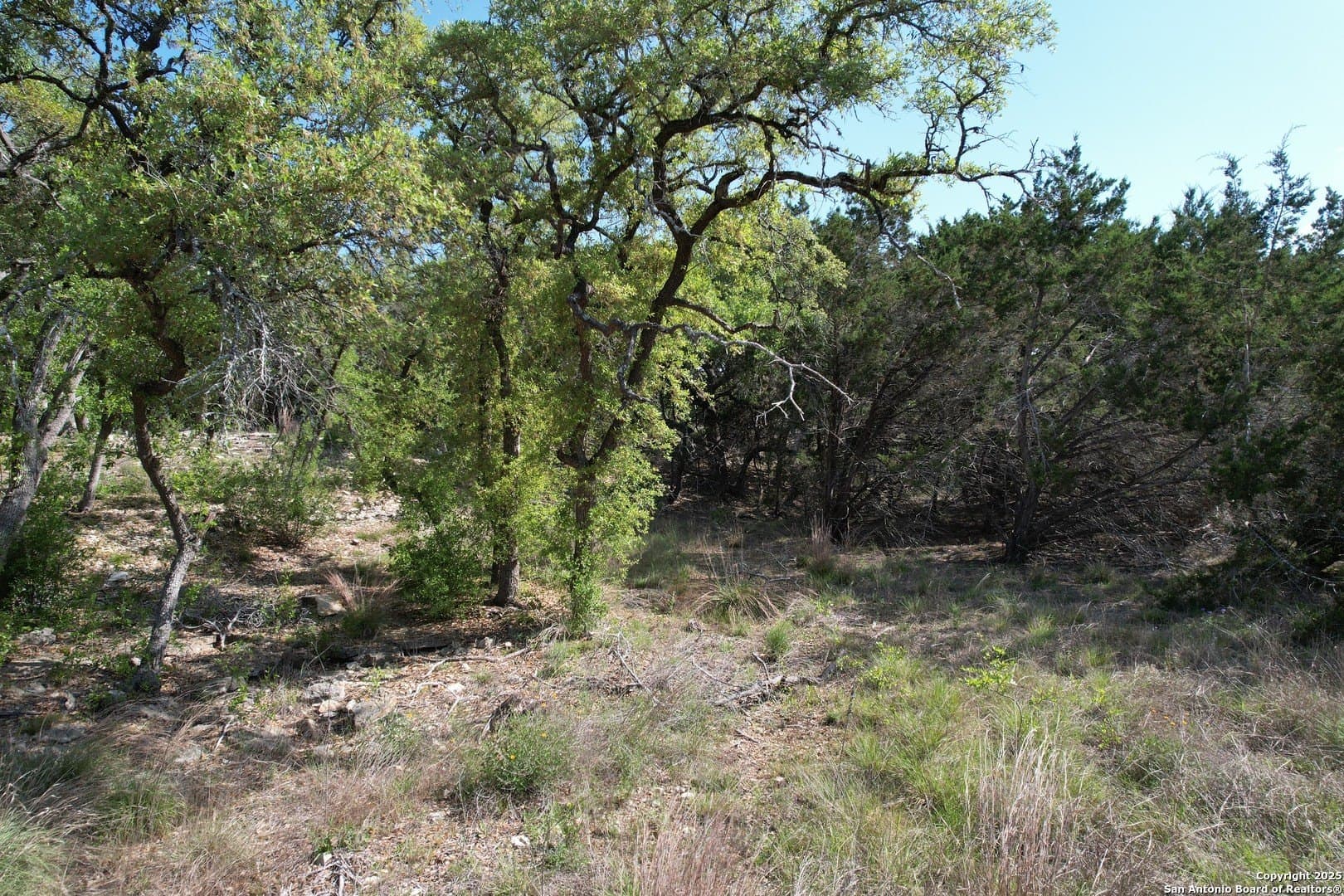1.07 acres in Comal County - photo 10