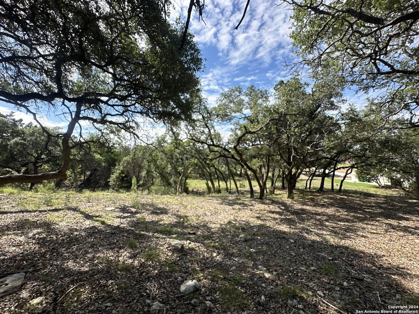 1.07 acres in Comal County gallery image 4