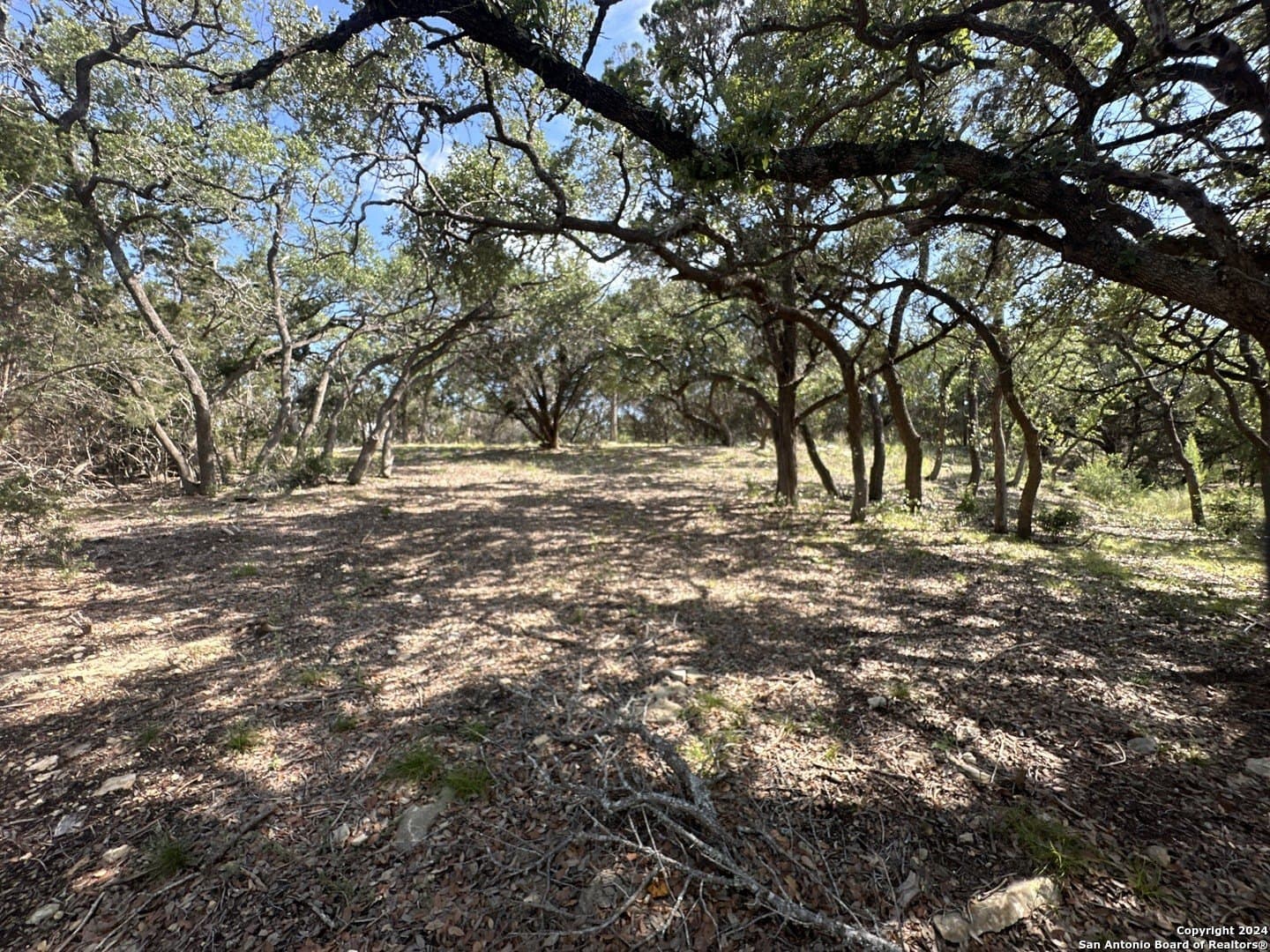 1.07 acres in Comal County gallery image 3