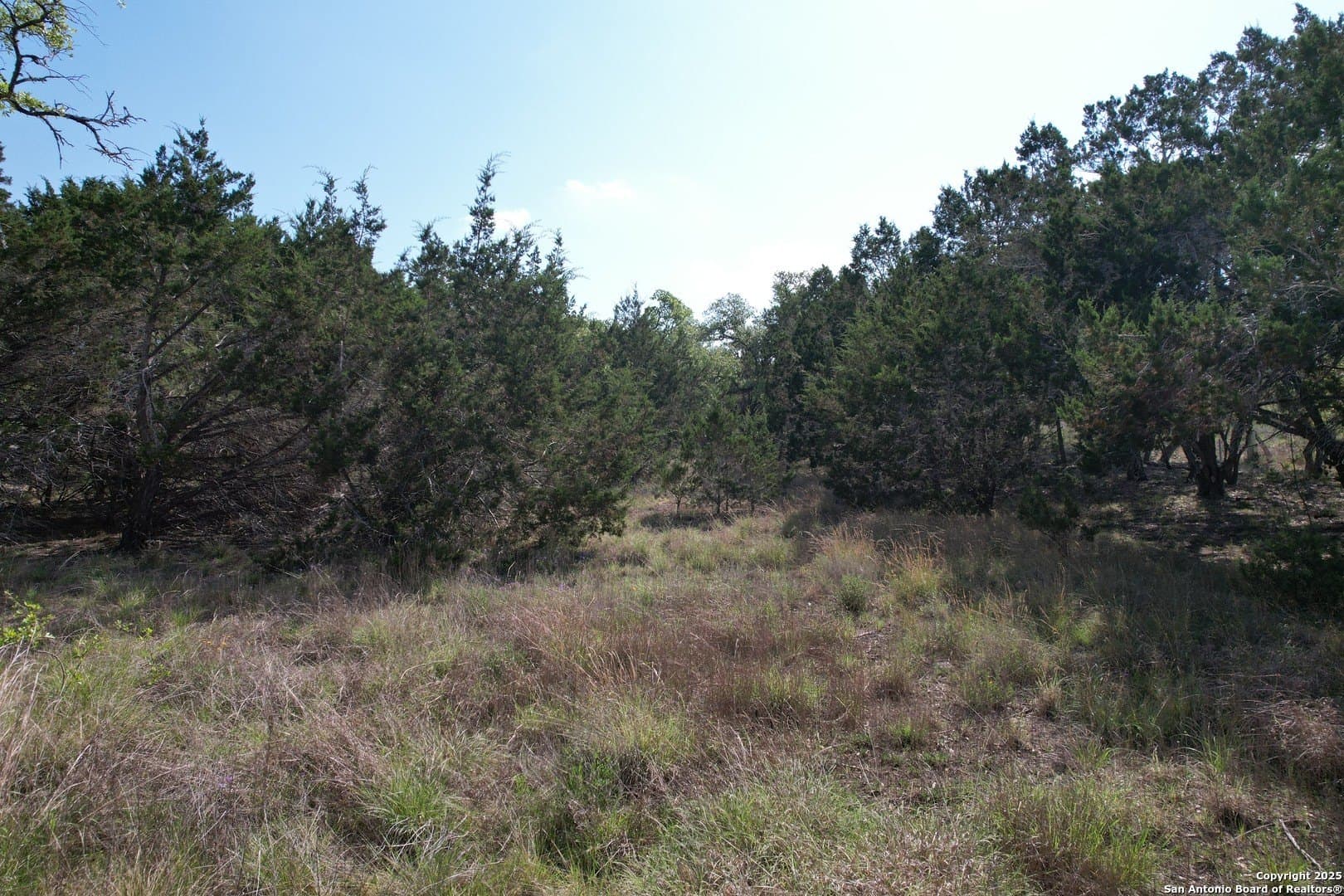 1.07 acres in Comal County - photo 14