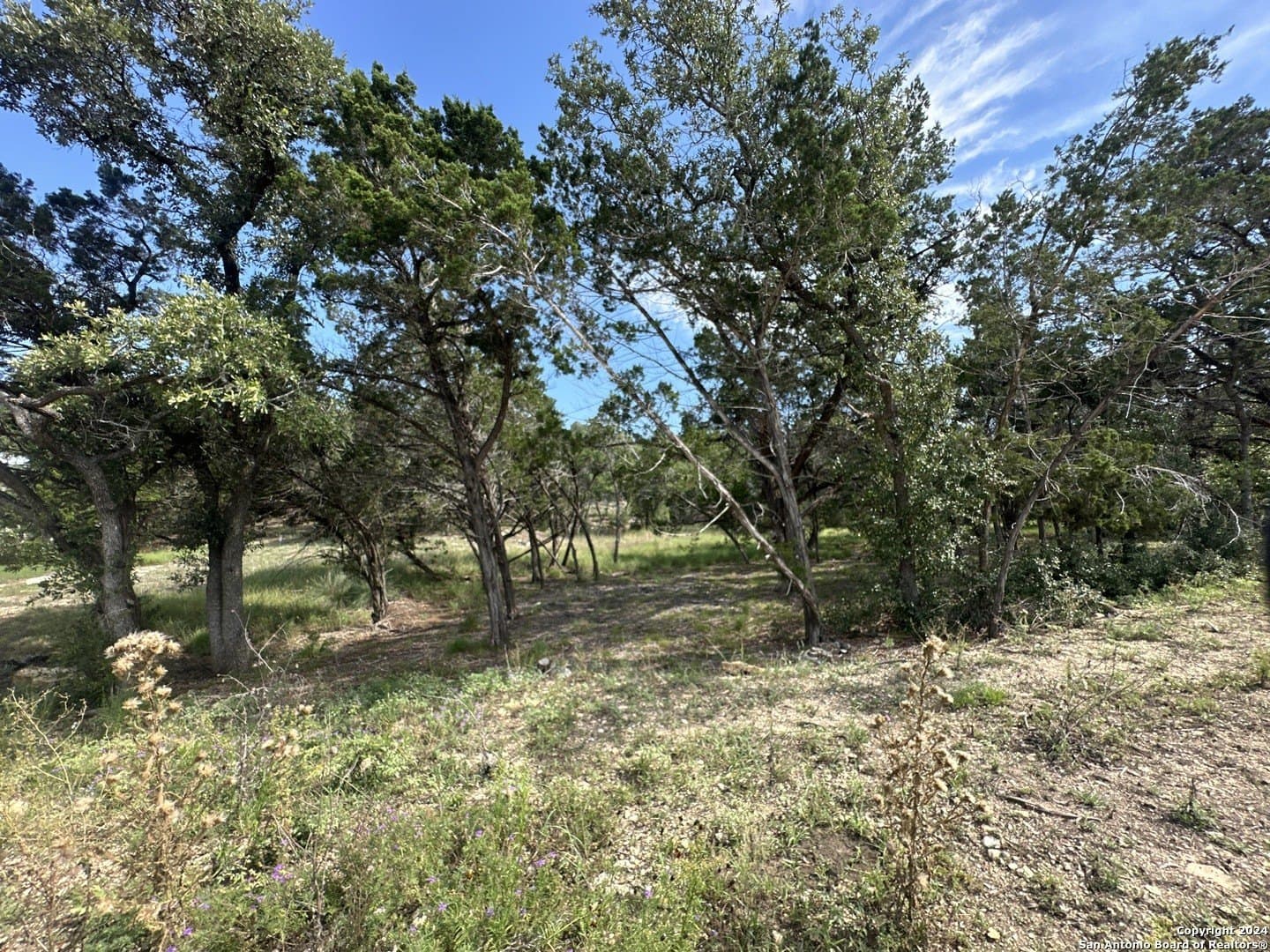 1.07 acres in Comal County - photo 11