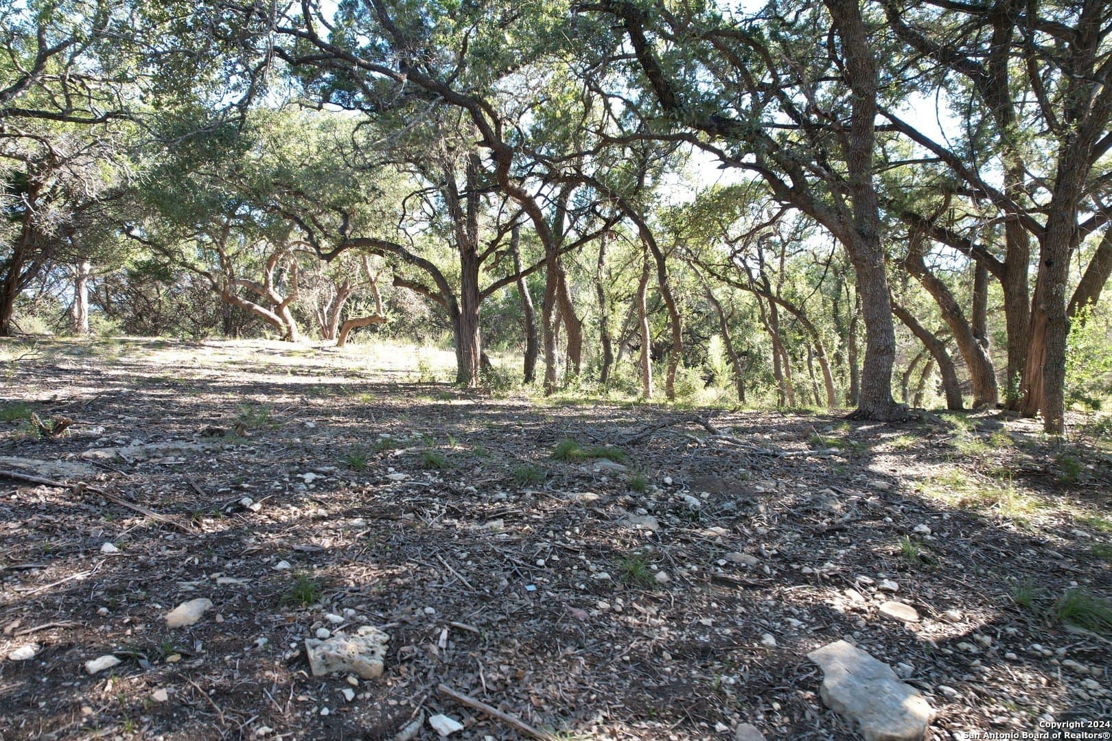 1.07 acres in Comal County gallery image 2