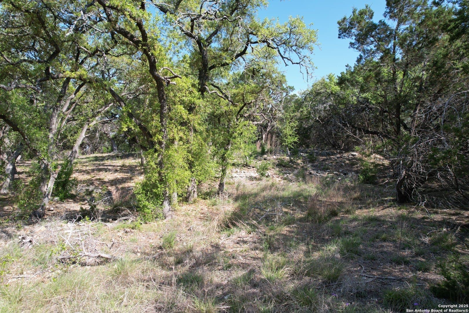 1.07 acres in Comal County - photo 9