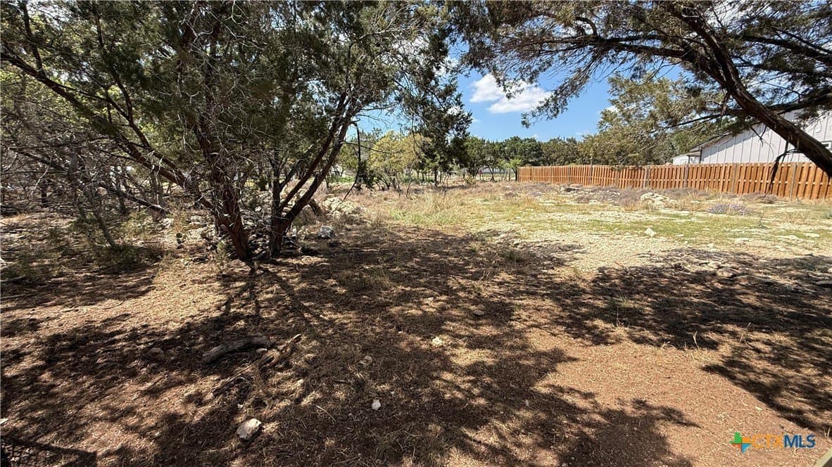 0.23 acres in Comal County gallery image 2