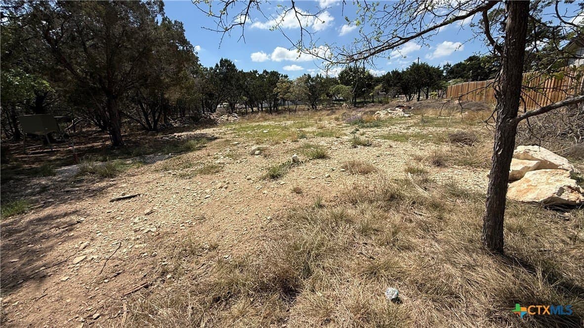 0.23 acres in Comal County gallery image 4