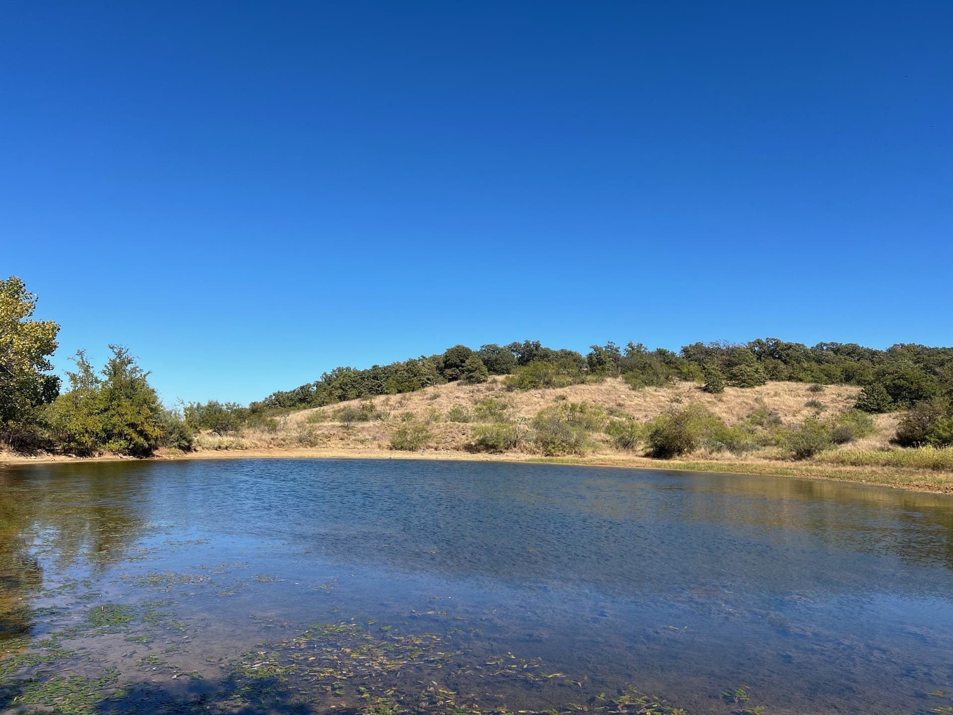 165 acres in Young County - photo 9