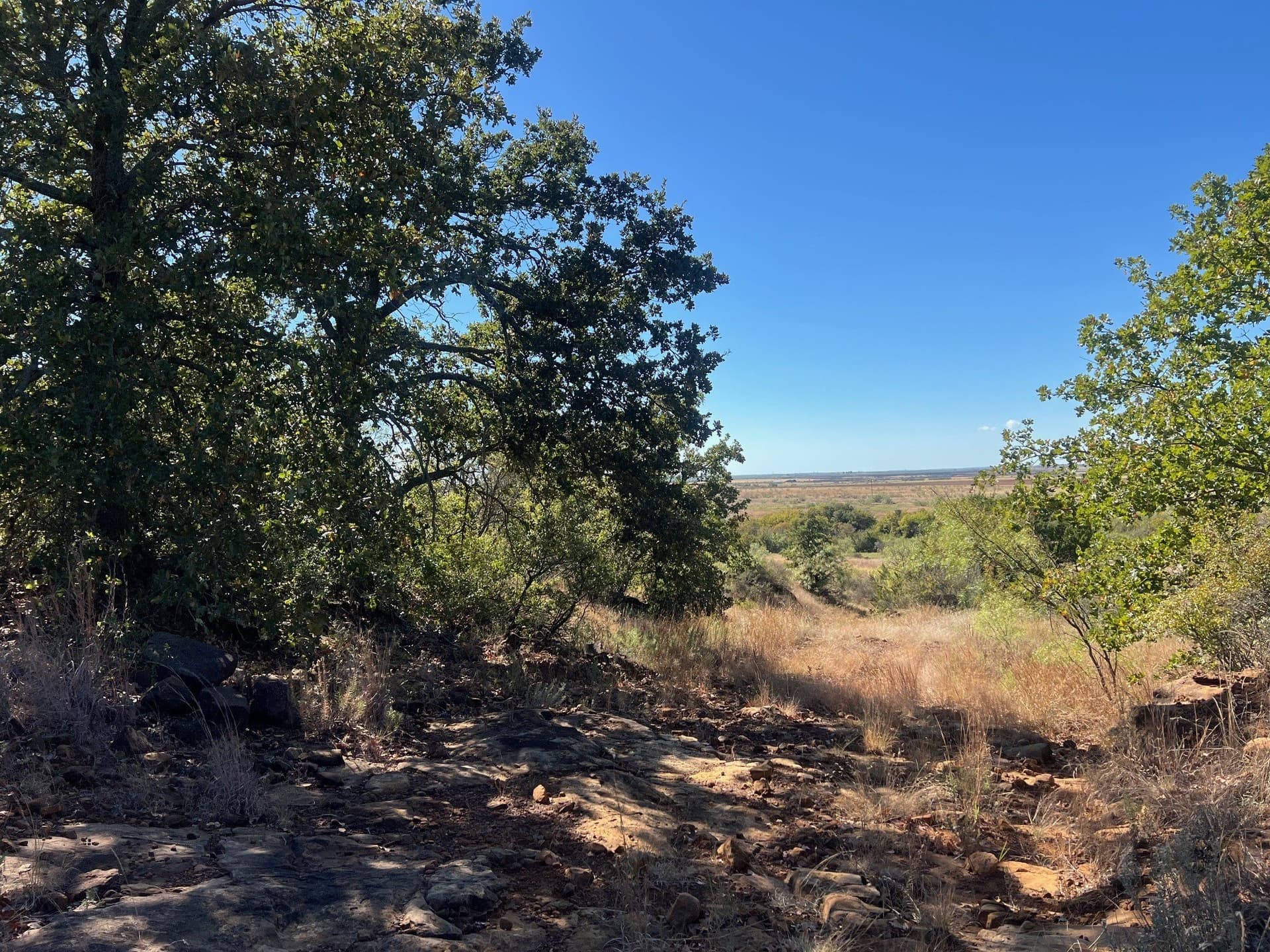 165 acres in Young County - photo 27
