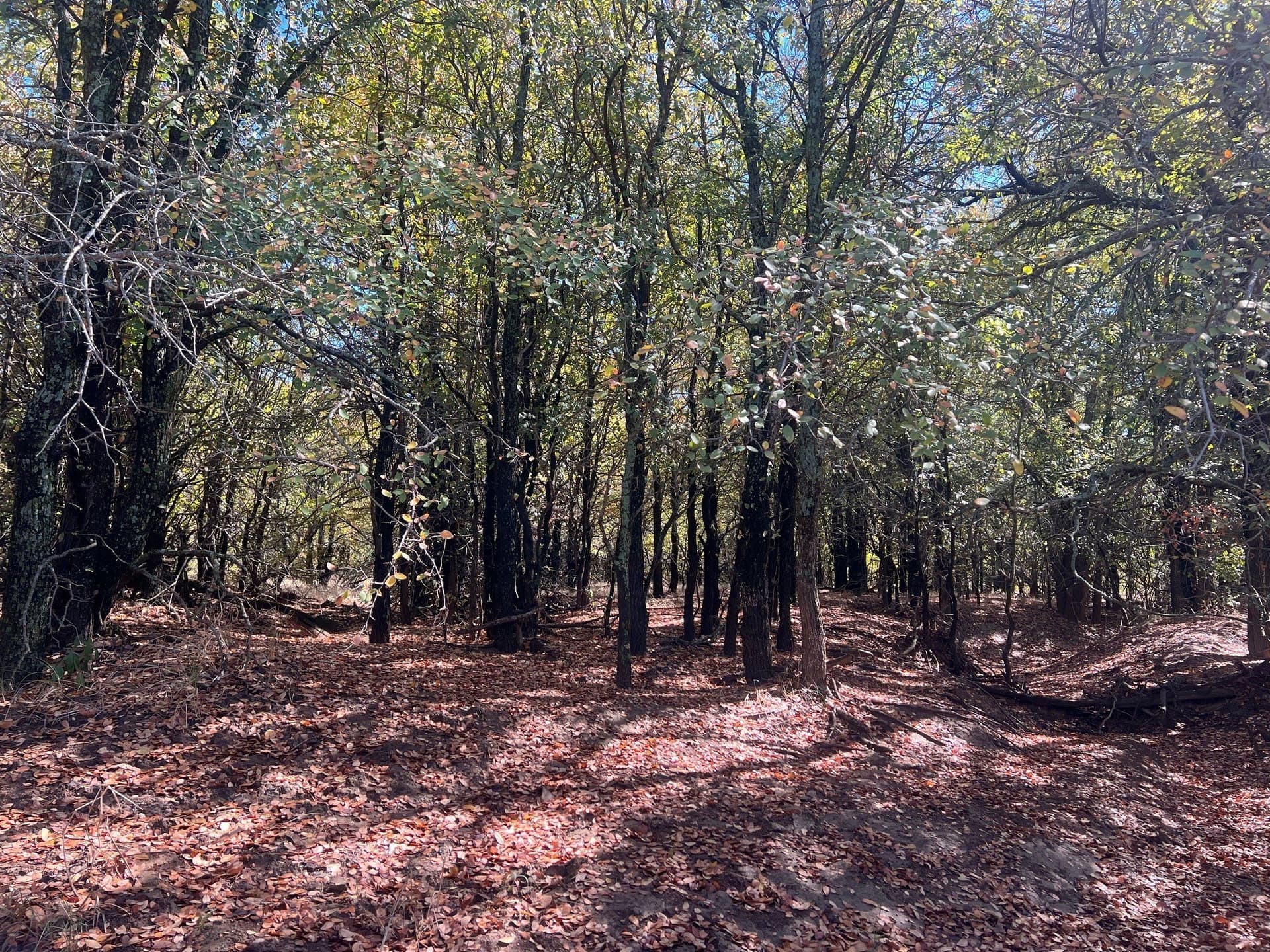 165 acres in Young County featured view