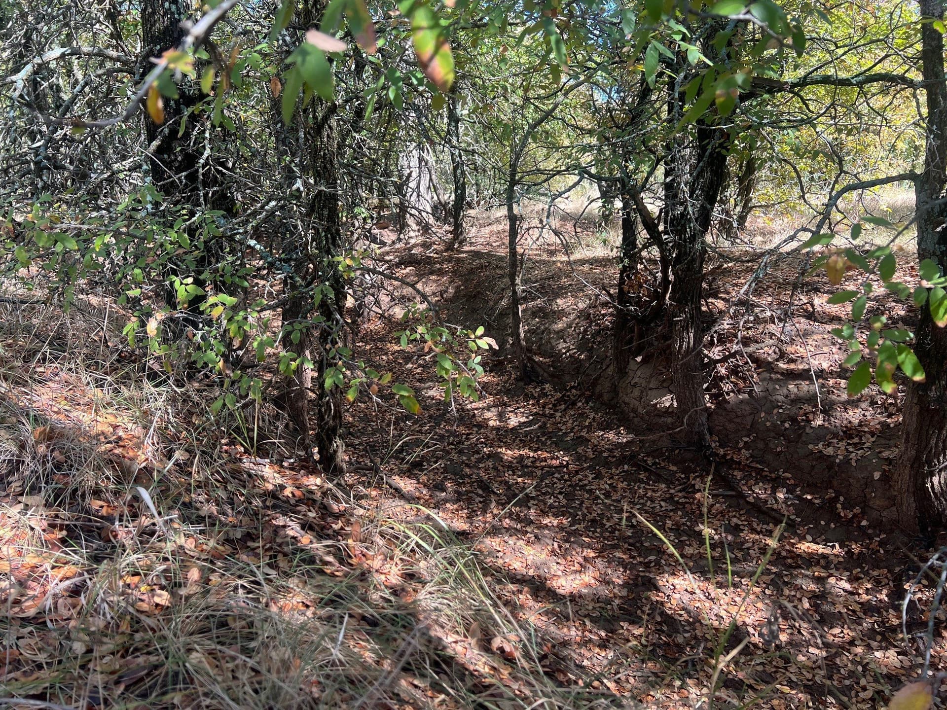 165 acres in Young County gallery image 4
