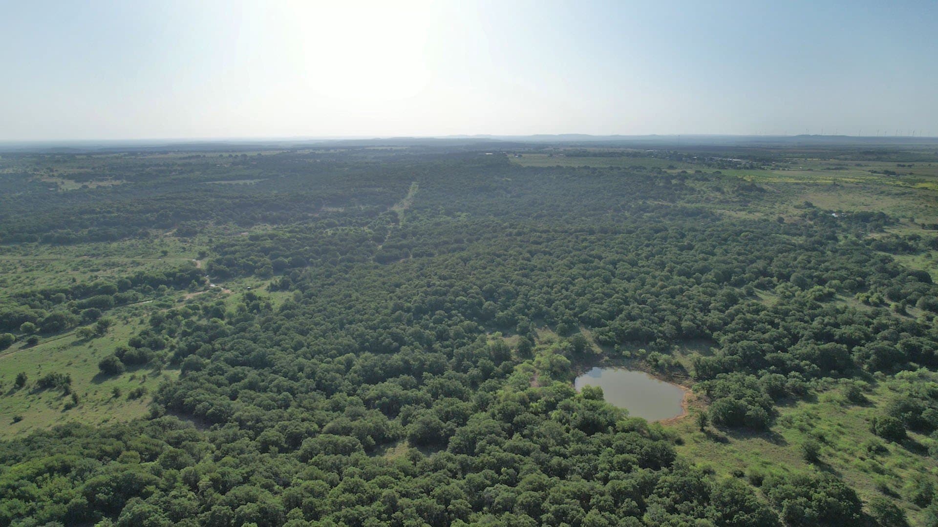 165 acres in Young County