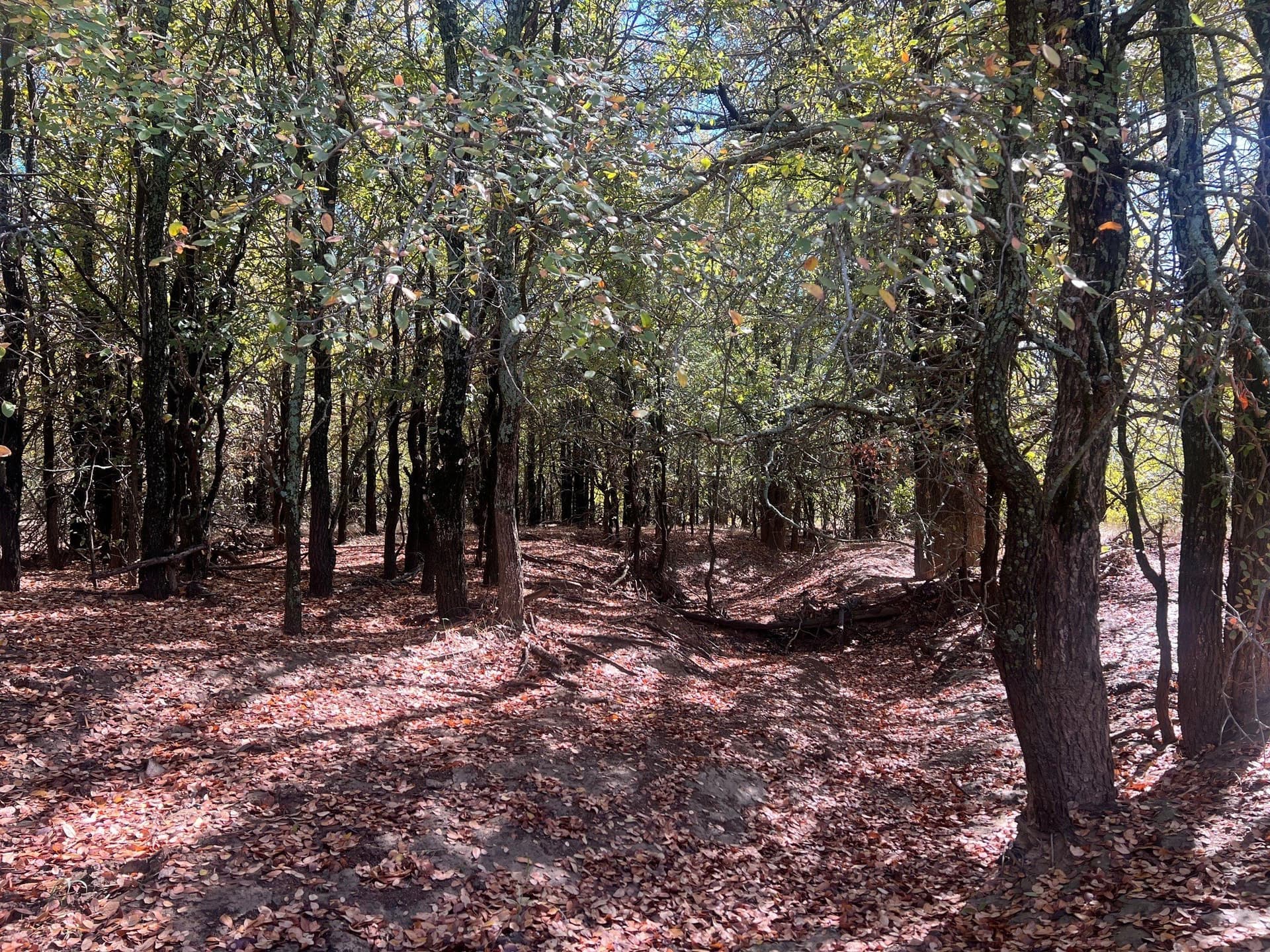 165 acres in Young County - photo 13