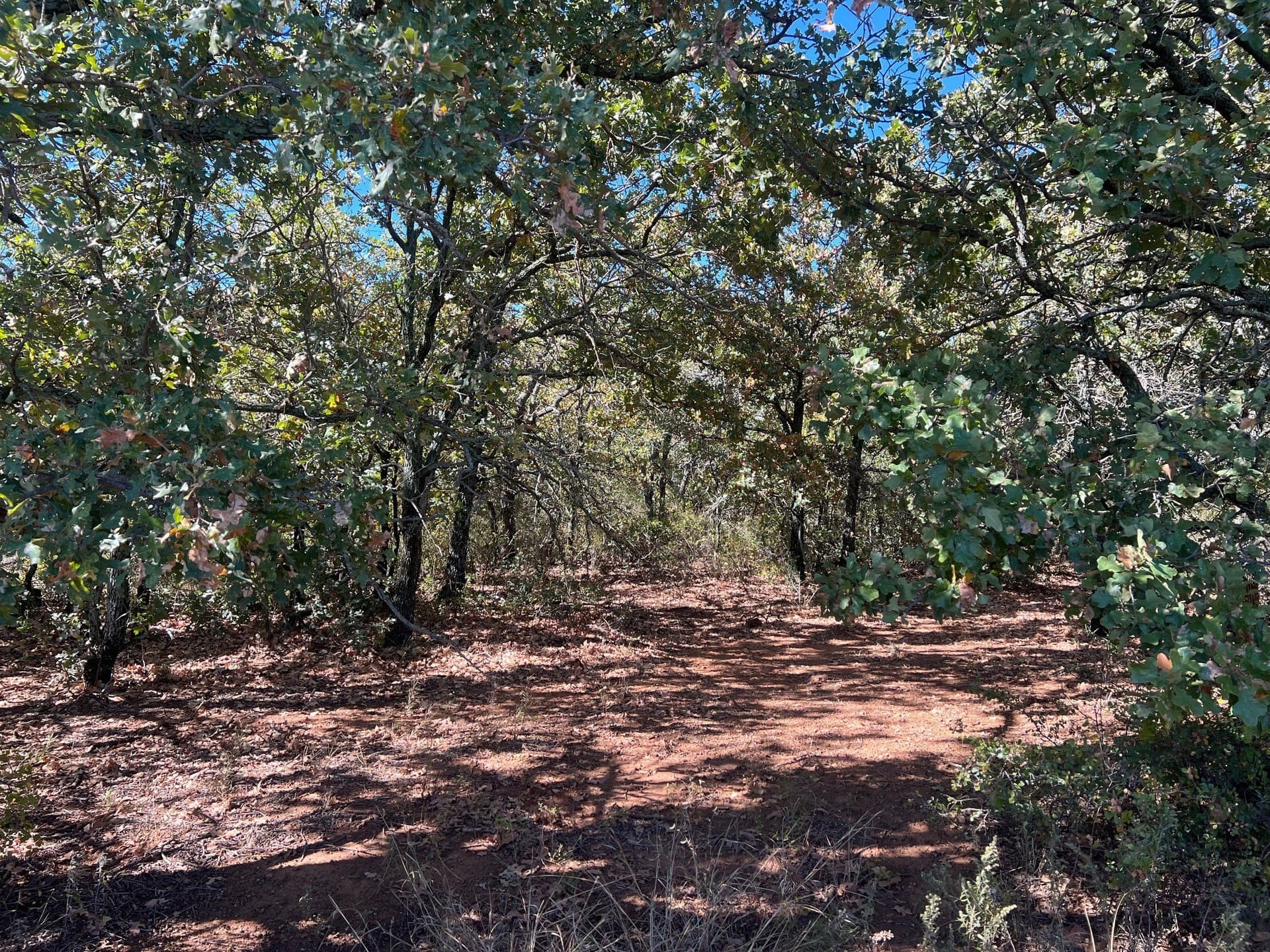 165 acres in Young County - photo 23