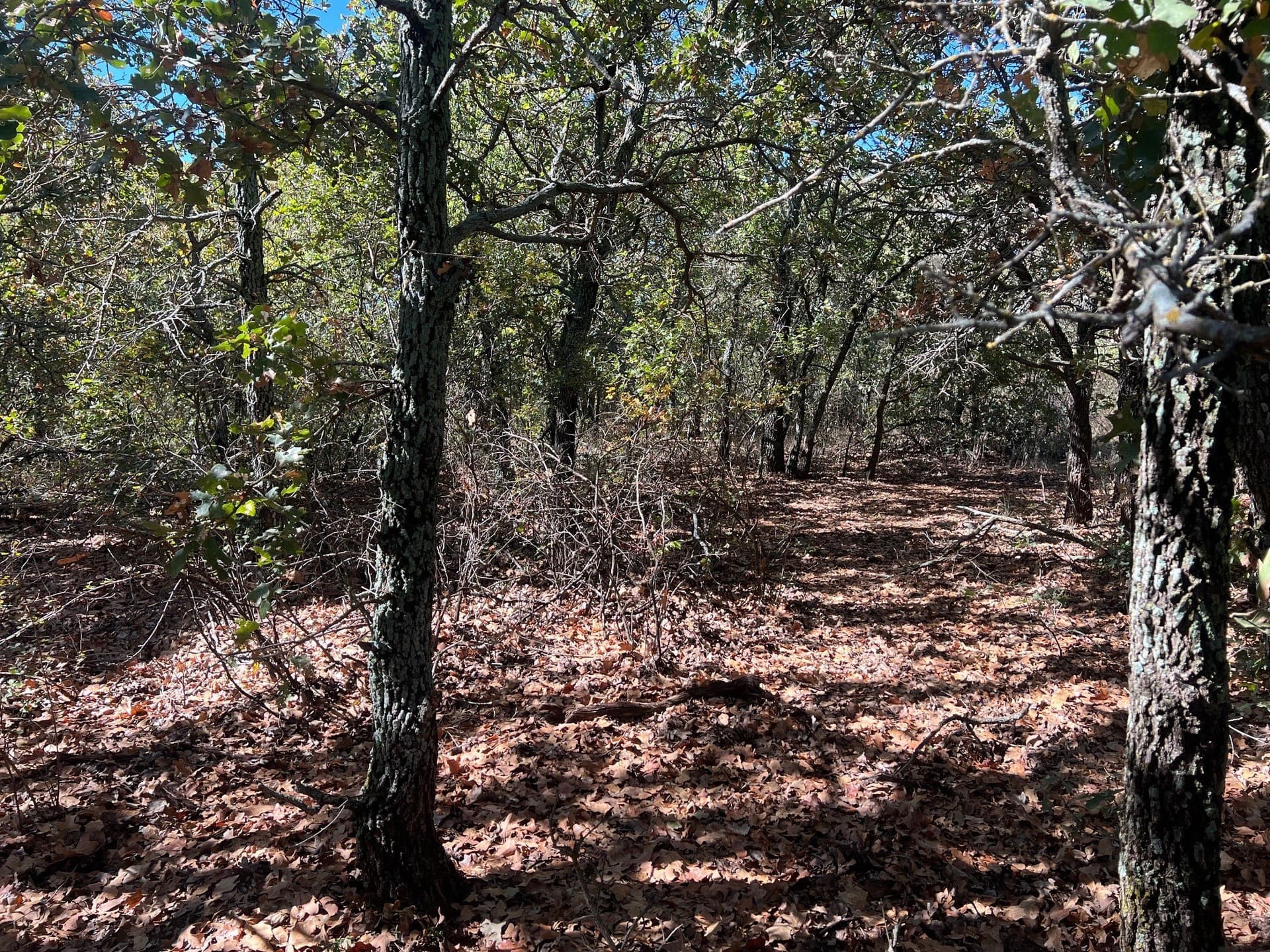 165 acres in Young County - photo 22
