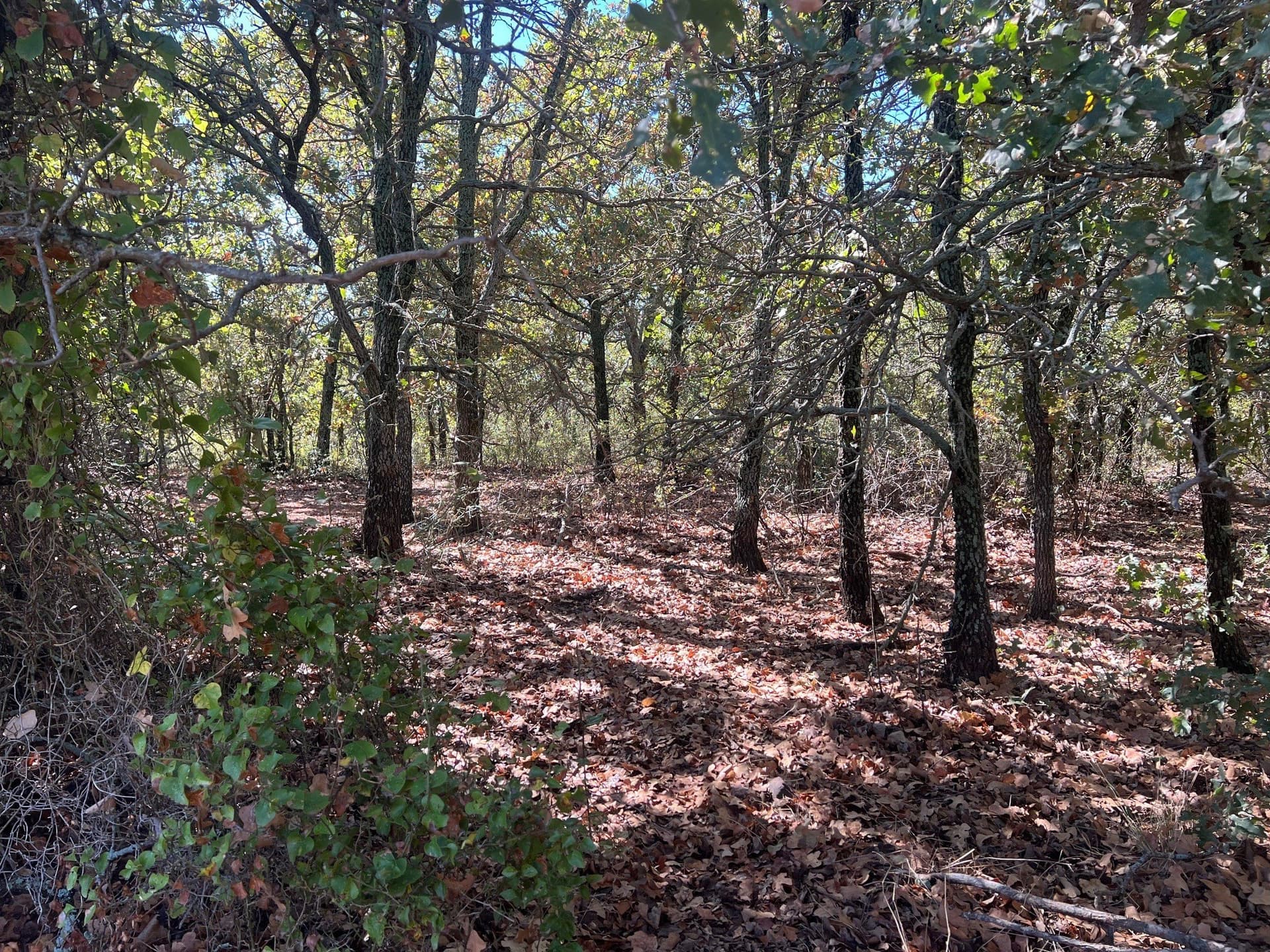 165 acres in Young County - photo 21