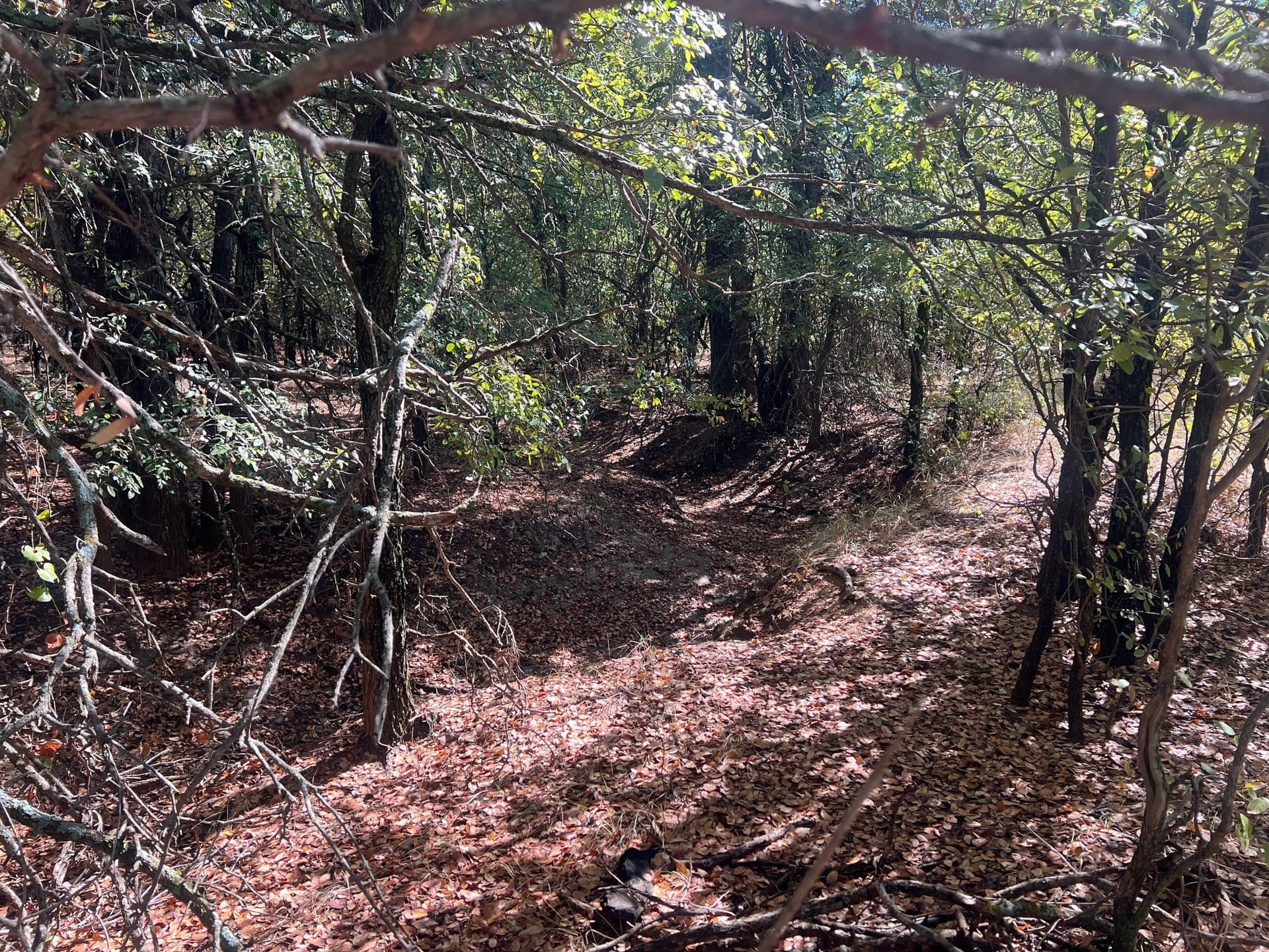 165 acres in Young County - photo 14