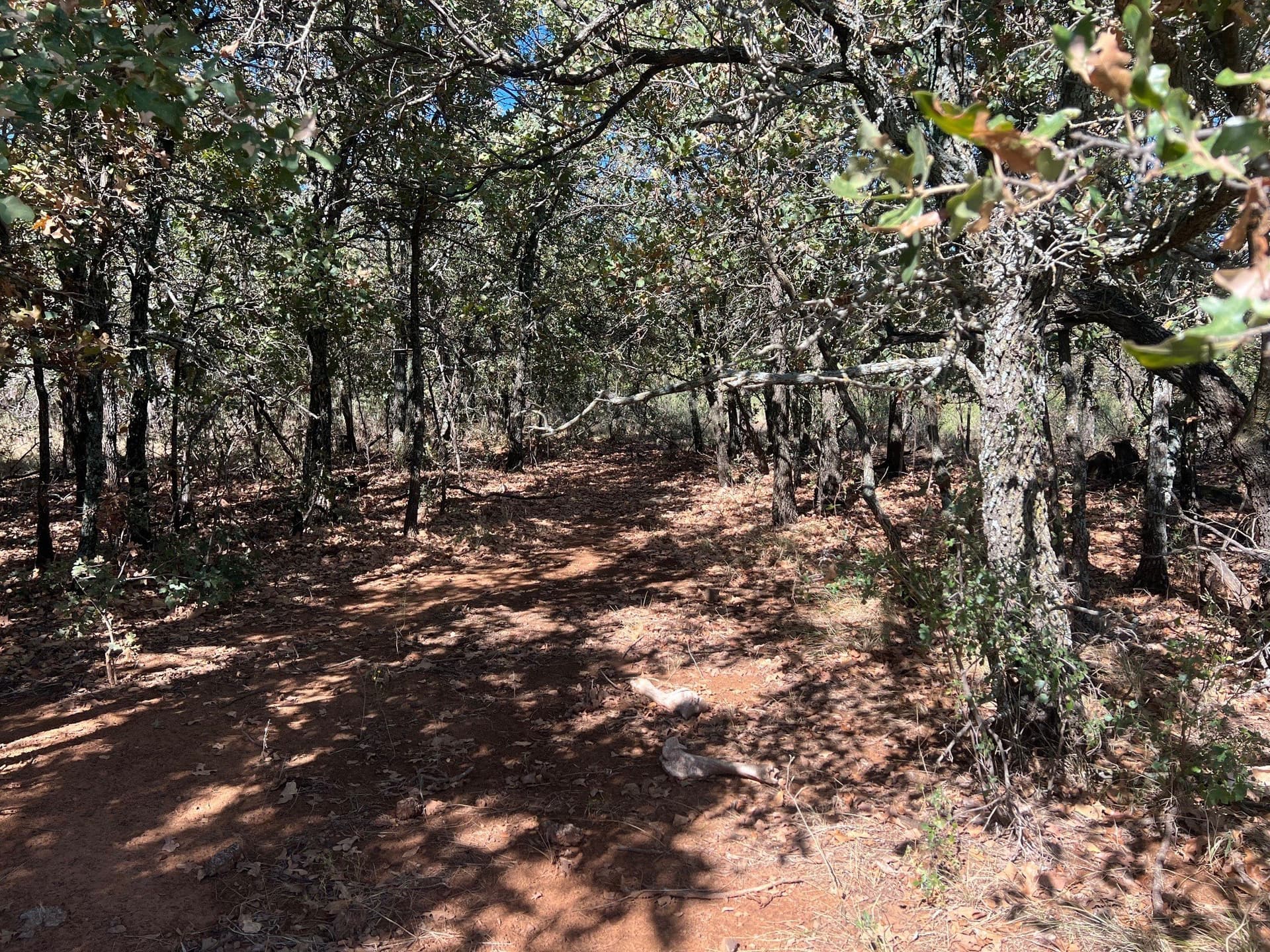 165 acres in Young County - photo 20
