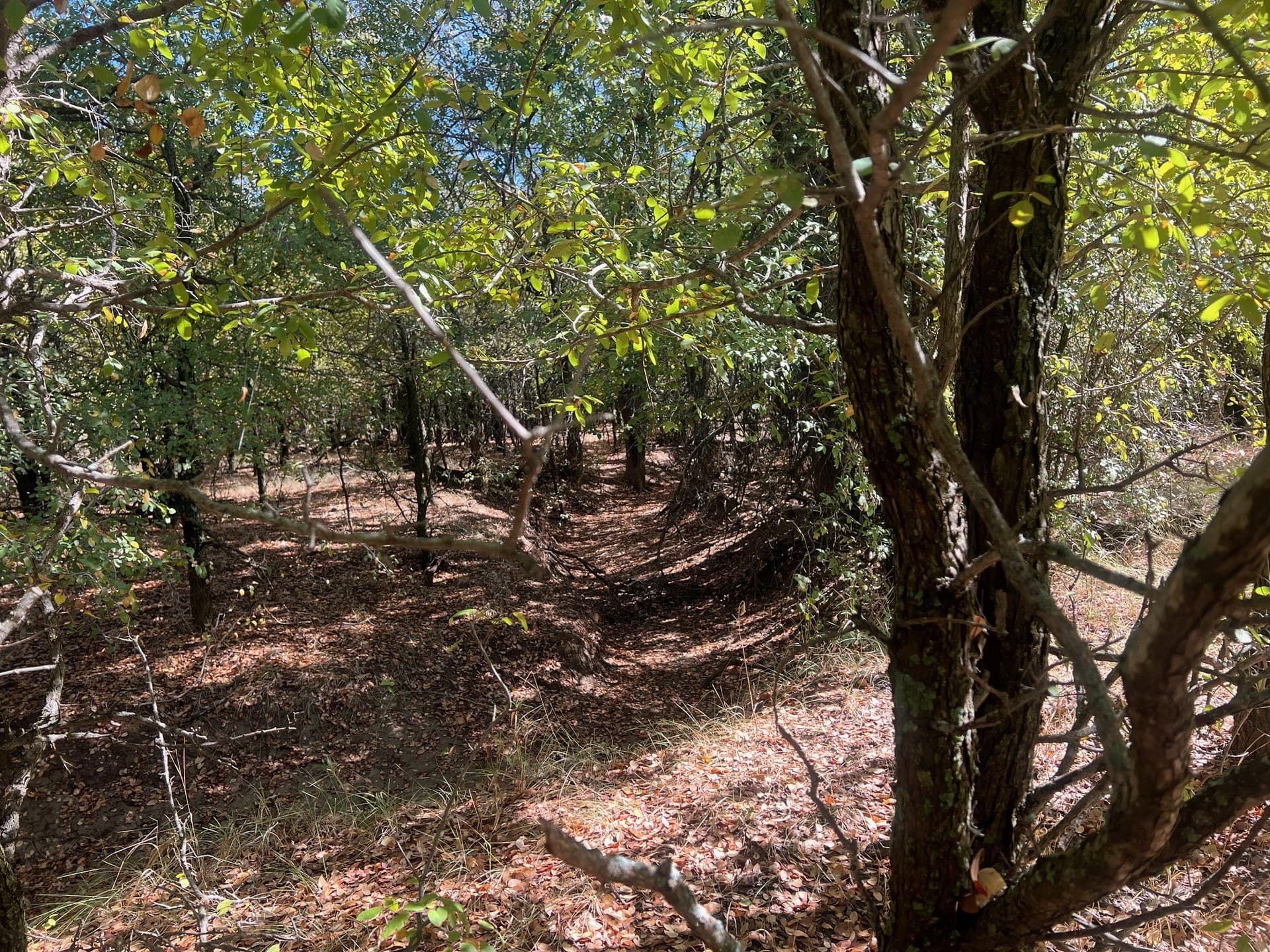 165 acres in Young County - photo 19