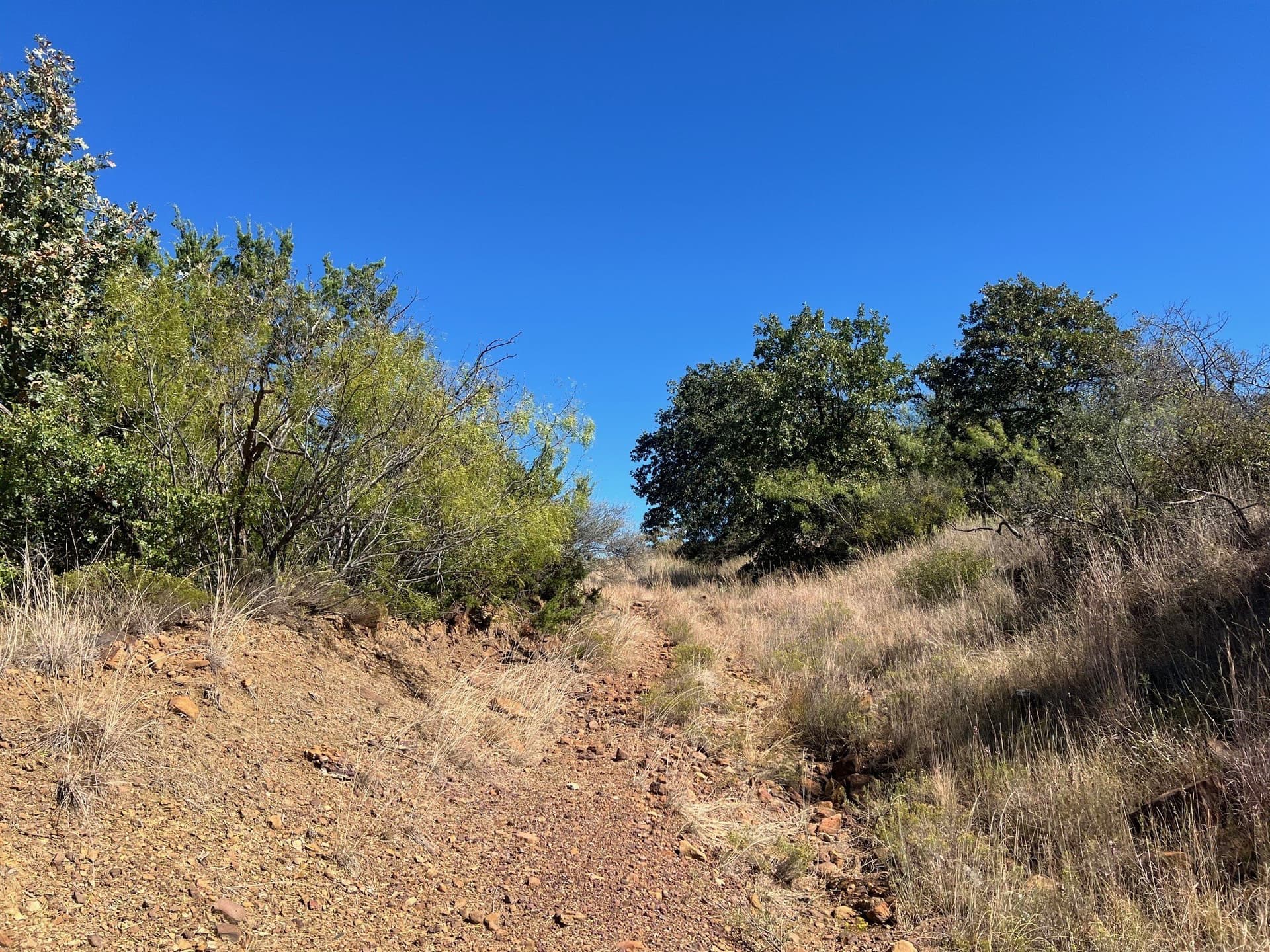 165 acres in Young County - photo 25