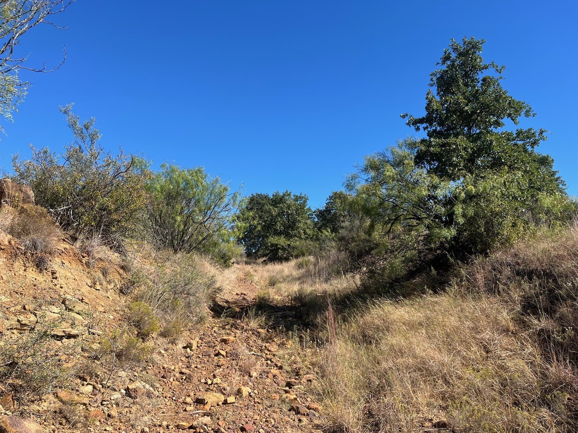 165 acres in Young County - photo 24