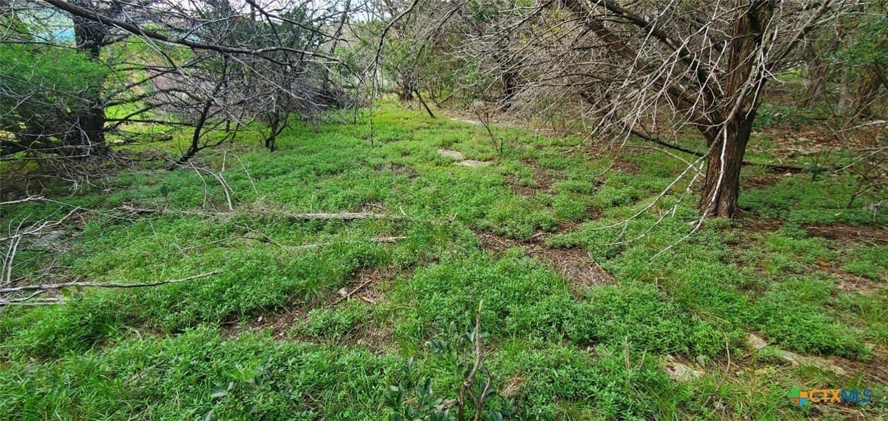 0.34 acres in Bell County gallery image 4