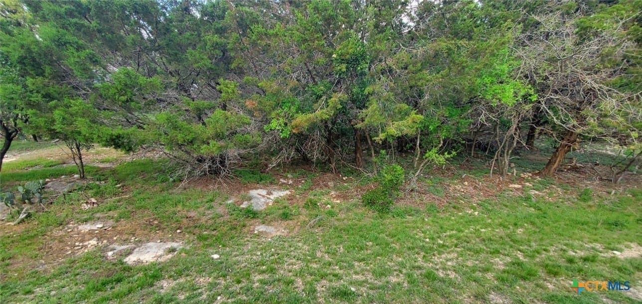 0.34 acres in Bell County gallery image 3