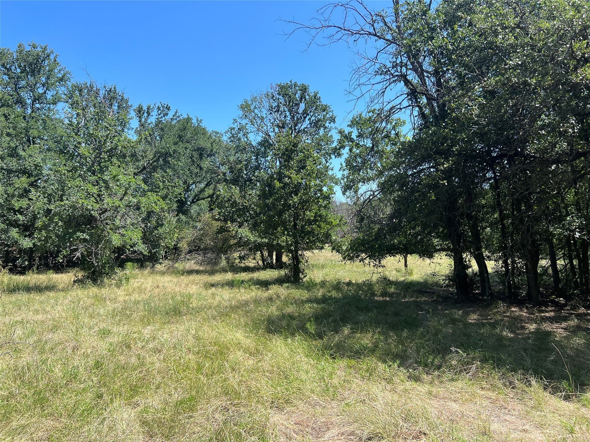 78 acres in Eastland County - photo 5
