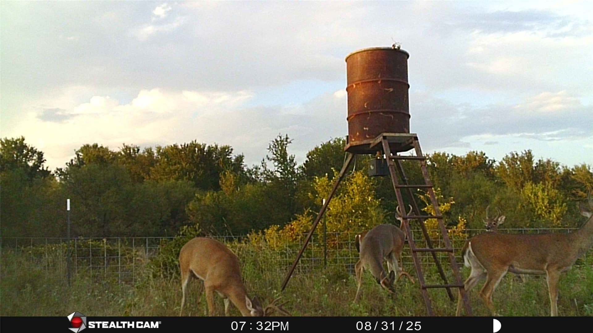 78 acres in Eastland County - photo 28